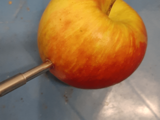 Temperature management apples