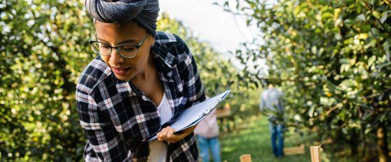 Temperature management pears