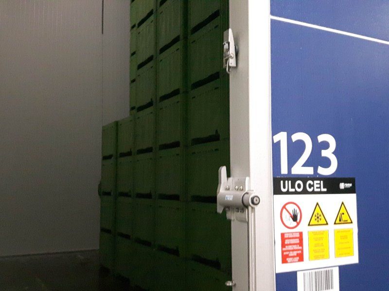 Temperature management pears