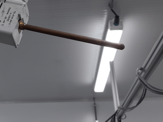 Temperature management pears