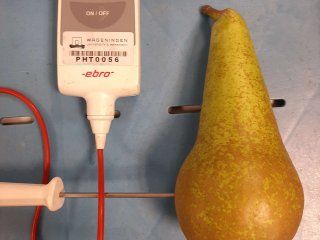 Temperature management pears