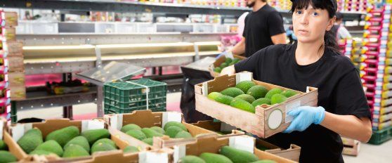 The avocado supply chain