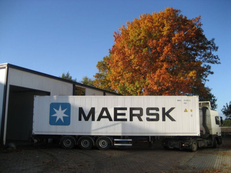 The avocado supply chain