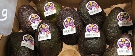The avocado supply chain
