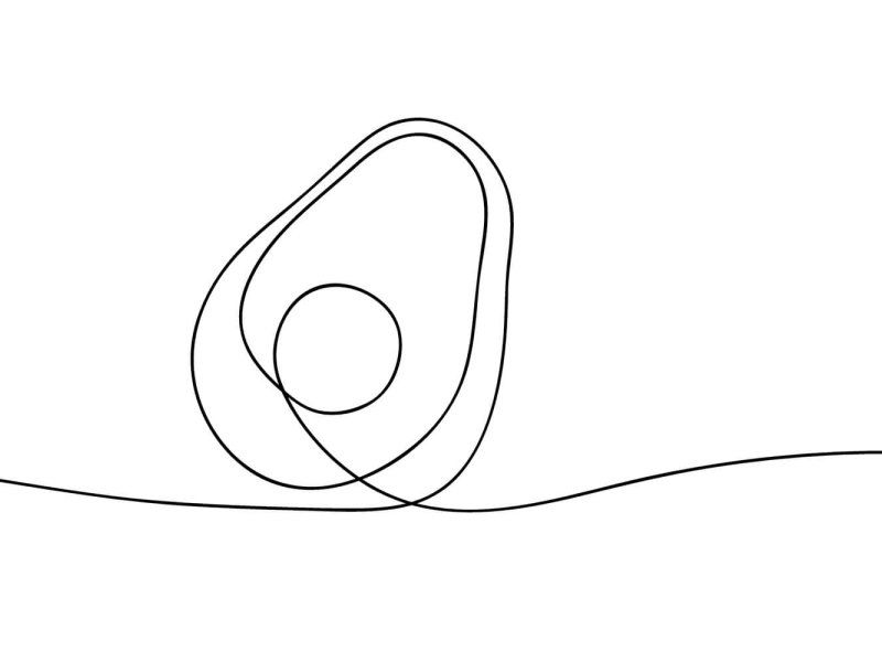 The avocado supply chain