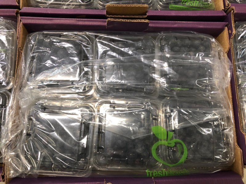 The blueberry supply chain