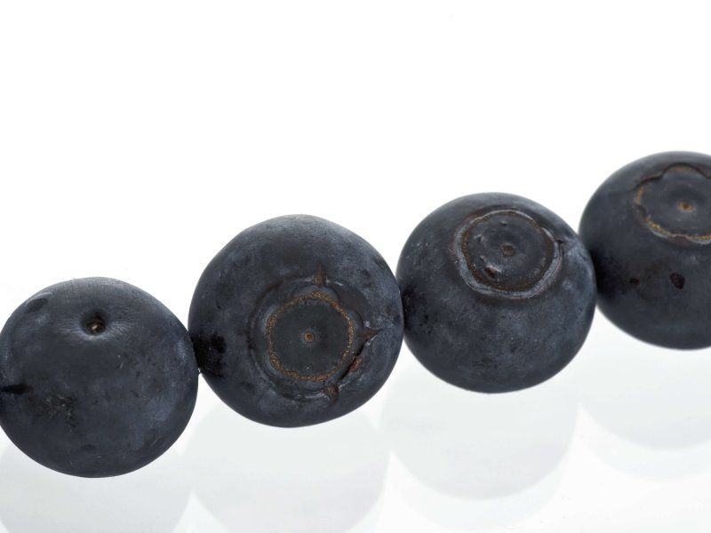 The blueberry supply chain