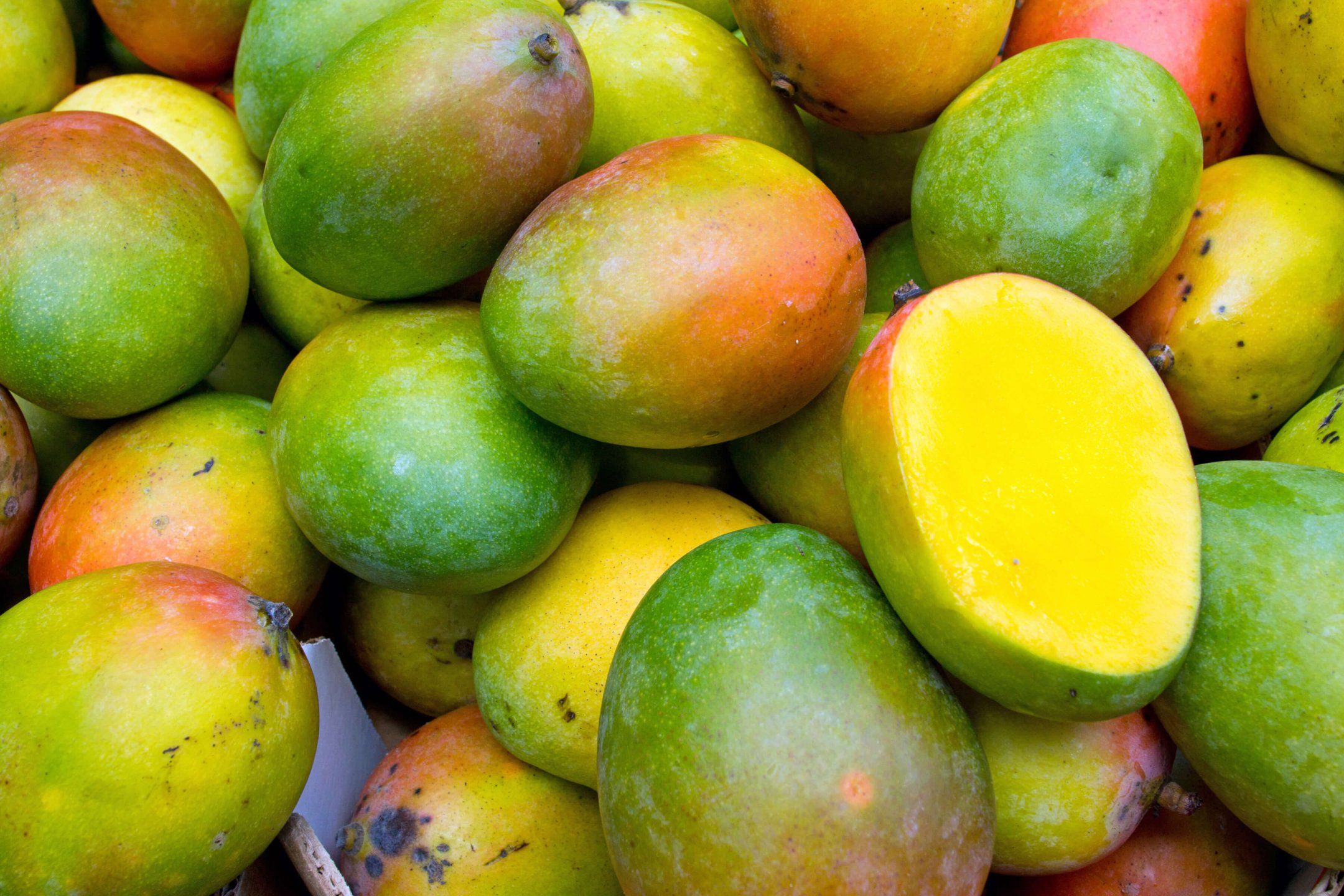 The mango supply chain