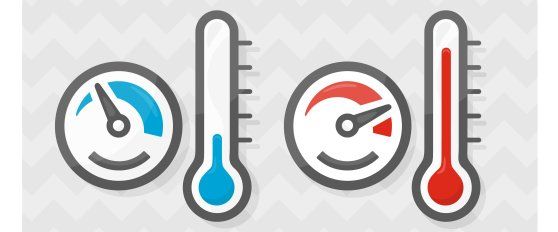 The mango supply chain