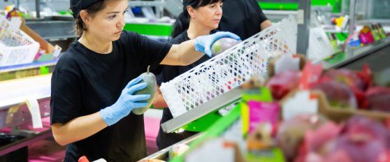 The mango supply chain