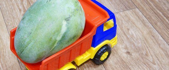 The mango supply chain