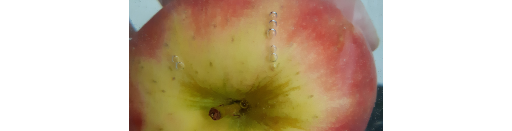 The many-sided role of carbon dioxide in postharvest practice