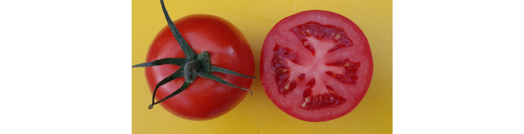 The many-sided role of carbon dioxide in postharvest practice