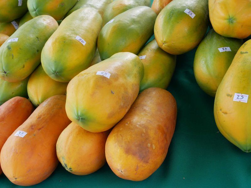 The papaya supply chain