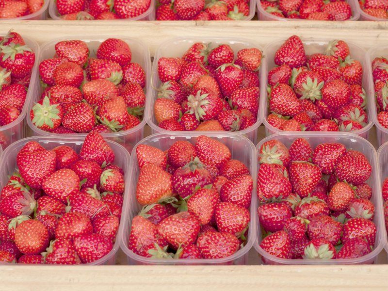 The strawberry chain