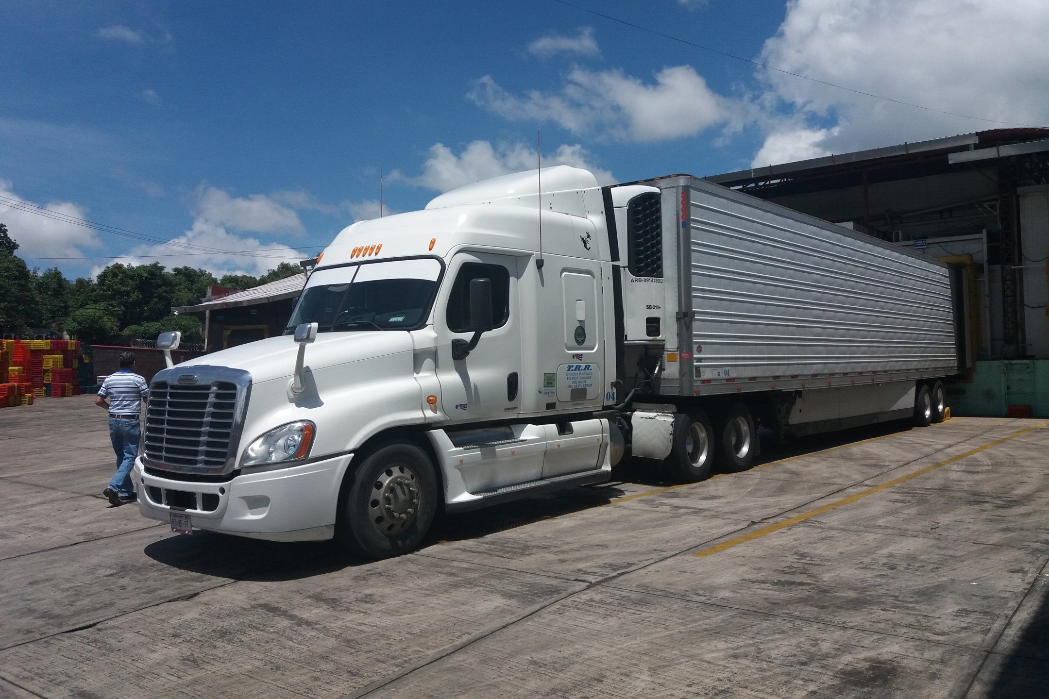 Transport practices for avocado