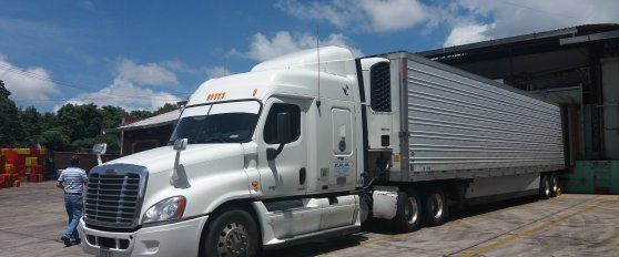 Transport practices for avocado