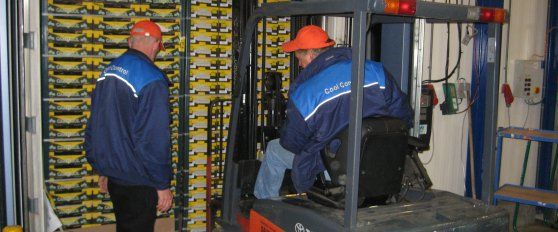 Transport practices for avocado