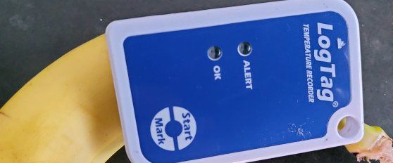 Transport practices for banana