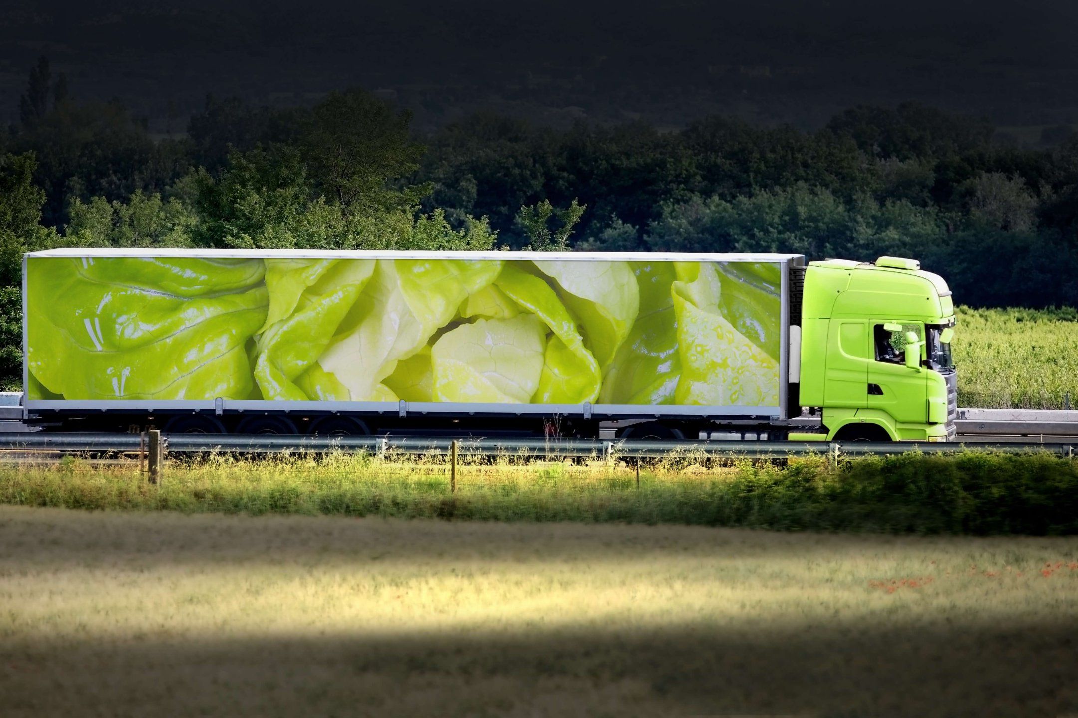 Transport practices for lettuce