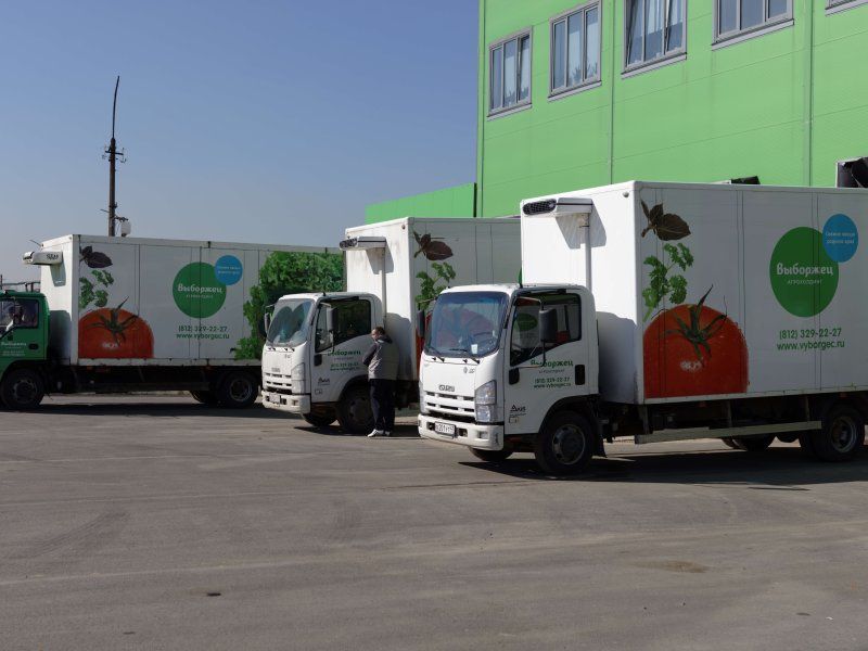 Transport practices for lettuce