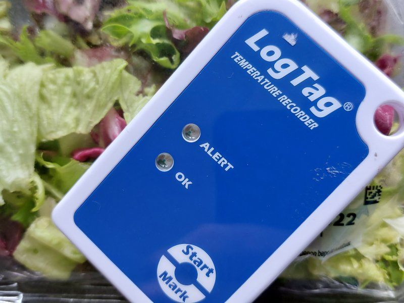 Transport practices for lettuce