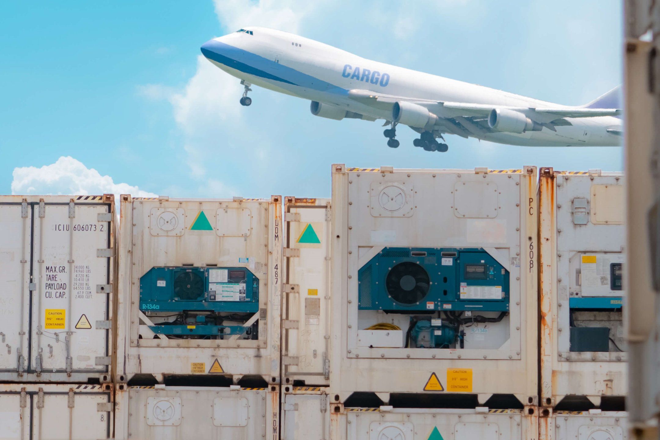 Transport practices for mango