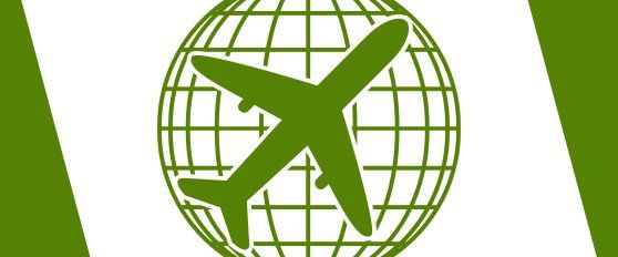 Transport practices for mango