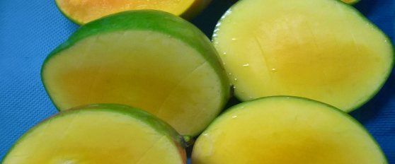 Transport practices for mango