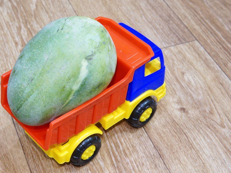 Transport practices for mango
