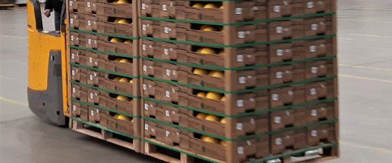 Transport practices for melon