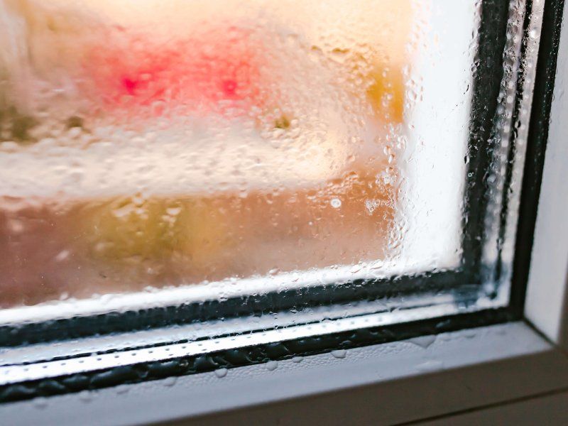 Transport practices for papaya