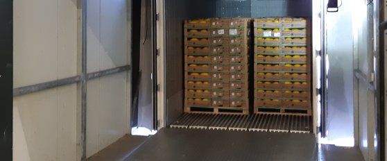 Transport practices for peppers