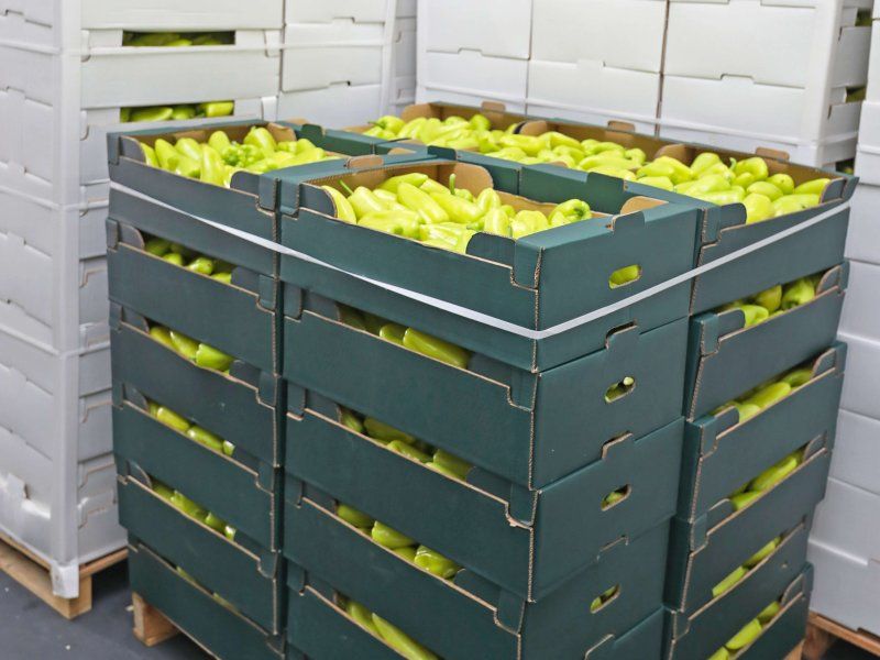 Transport practices for peppers