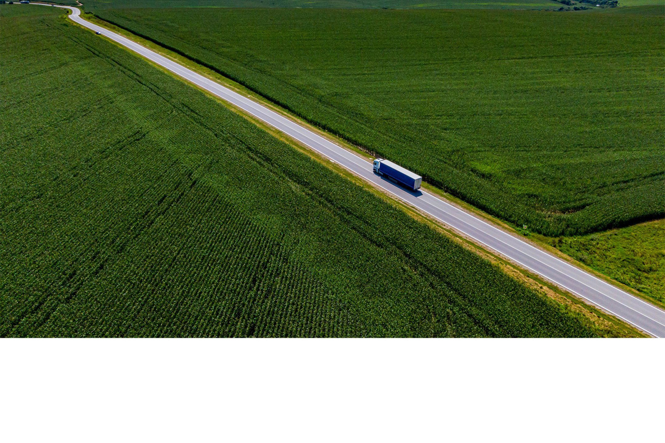 Transport practices for strawberry