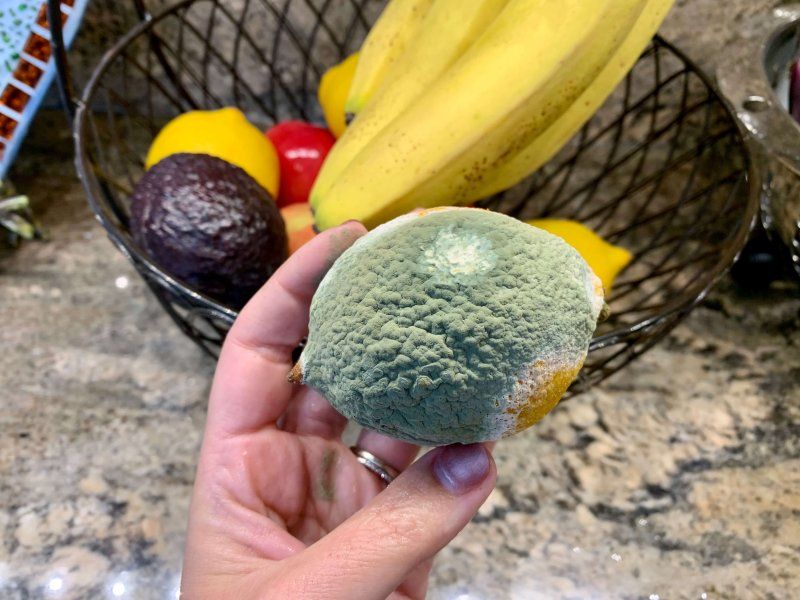 Understanding quality traits of fruit