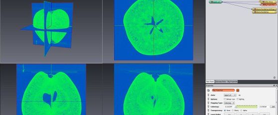 Understanding quality traits of fruit