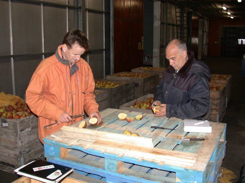 Understanding quality traits of fruit