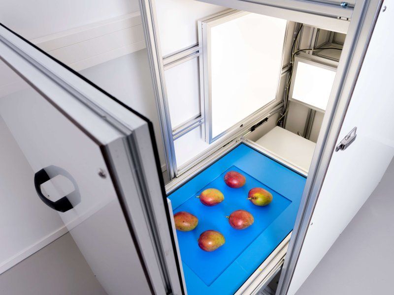 Understanding quality traits of fruit