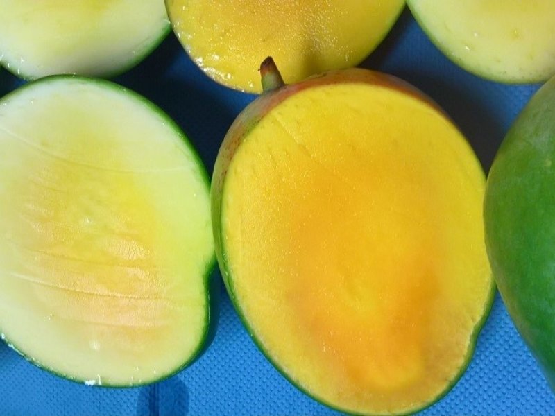 Using NIR to find defects in mangoes