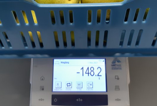 Water loss of horticultural produce: Measurements in (CA) storage rooms