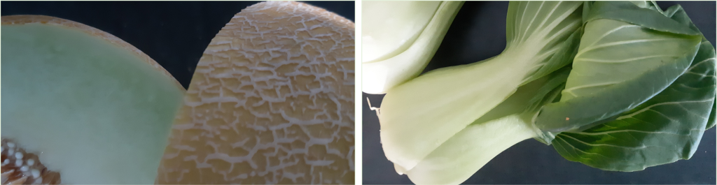 Water loss of horticultural produce: Measurements in (CA) storage rooms