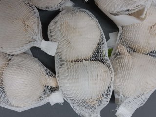 Garlic packed in units of 2. Photo by WUR
