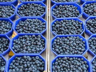 Packed blueberries. Photo by hsfoto/Shutterstock.com
