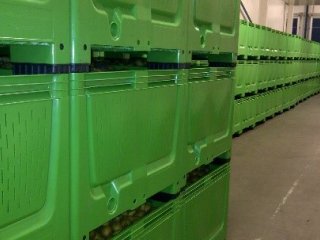 Plastic stacking bin. Photo by WUR.