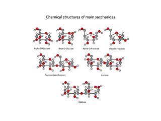 Chemische formules van veel voorkomende sacchariden. Illustratie van chromatos/Shutterstock.com