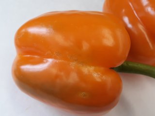 Bell pepper with thrips injury. Photo by WUR