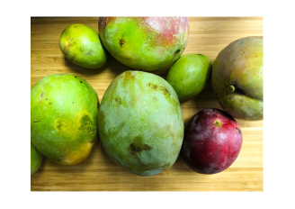 Verschillende formaten mango's worden gesorteerd op de sorteer- en beoordelingslijn. Foto van Helena1/Shutterstock.com