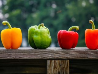 Bell peppers of different colours. Photo by Hutch Photography/Shutterstock.com