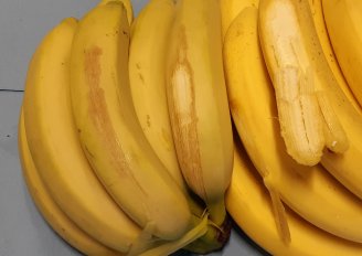 Bananen met symptomen van koudeschade, zichtbaar als de schil gedeeltelijk verwijderd wordt. Foto van WUR